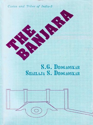cover image of The Banjara (Castes and Tribes of India-3)